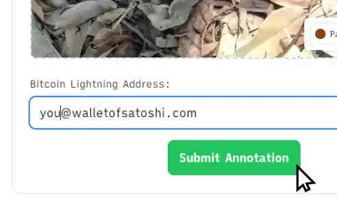 Annotation Step 1