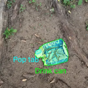 Dataset Image 1