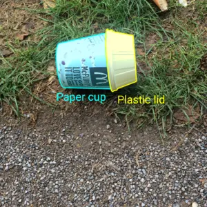 Dataset Image 2