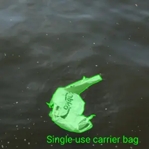 Dataset Image 4