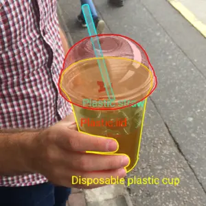 Dataset Image 5