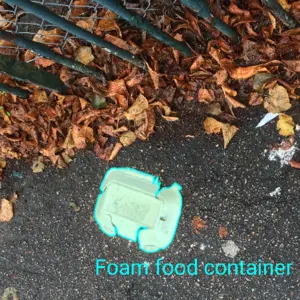 Dataset Image 6