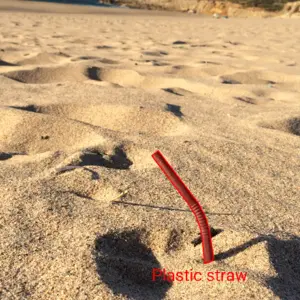 Dataset Image 7
