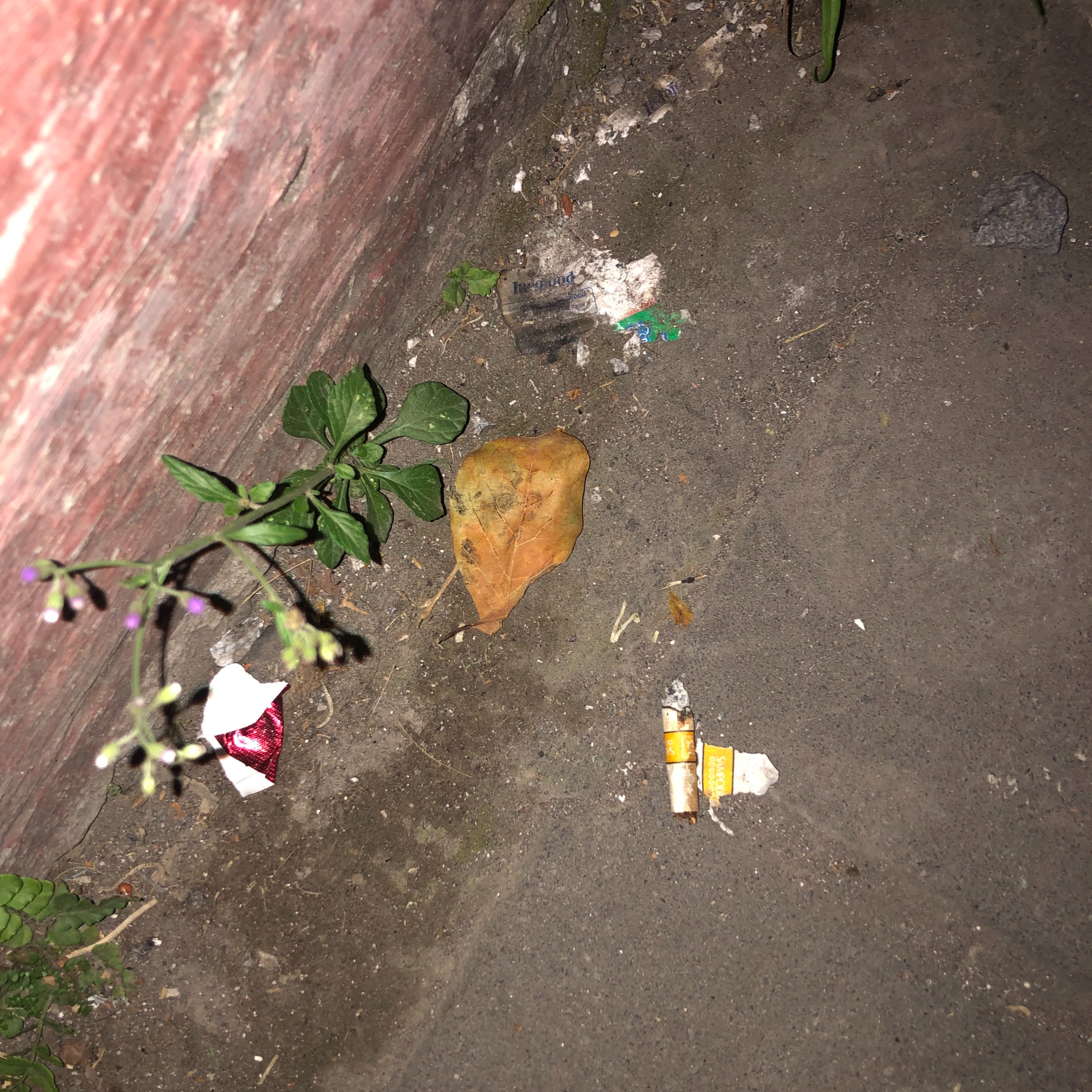 Image for annotation